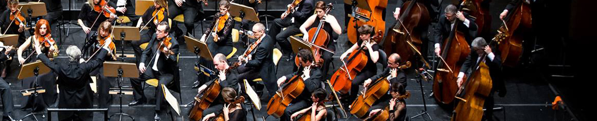Orquestra Sinfónica Portuguesa
